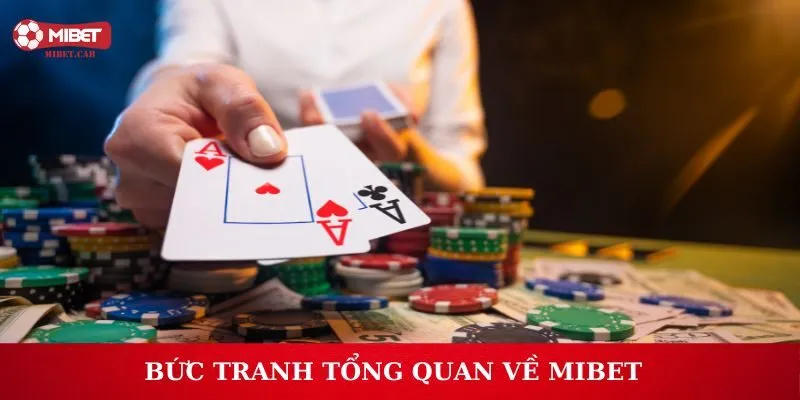 Bức tranh tổng quan về Mibet